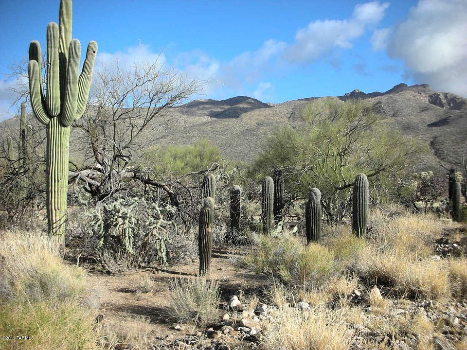 1st image of 4828 N Placita Pajarillo