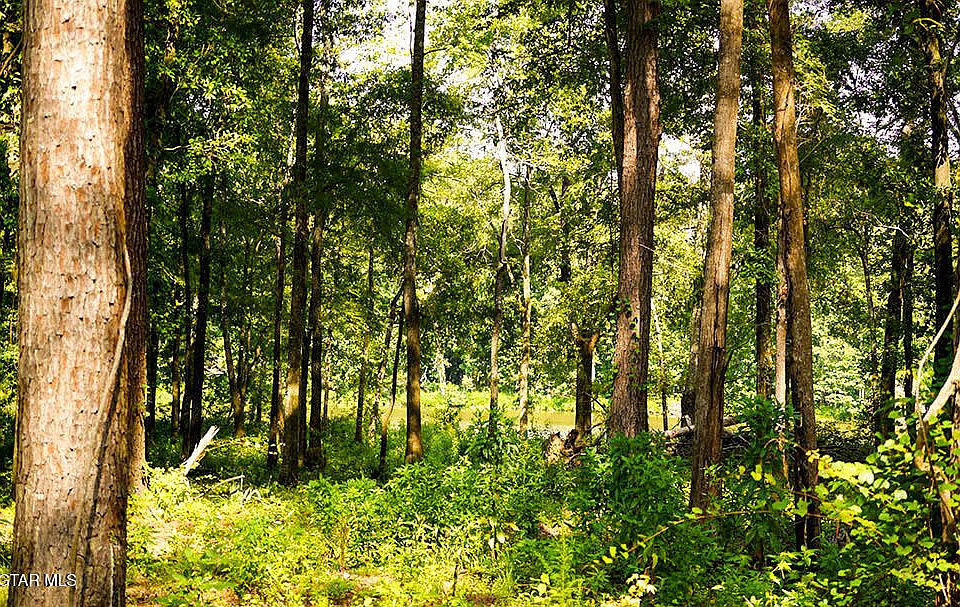 1st image of 4 Cypress Point