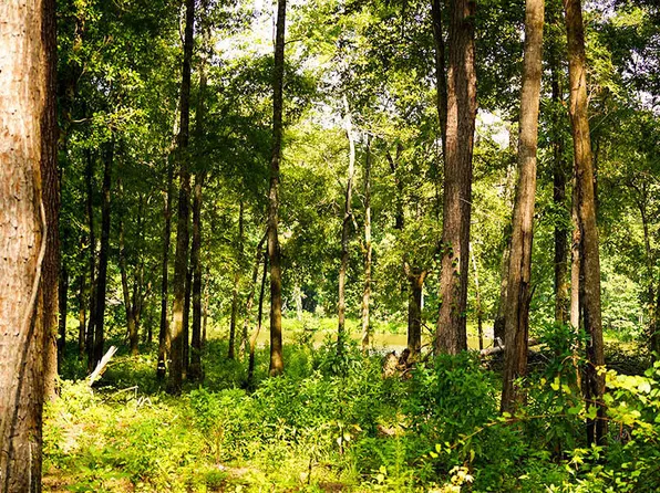 4 Cypress Point, Brooksville, MS 39739