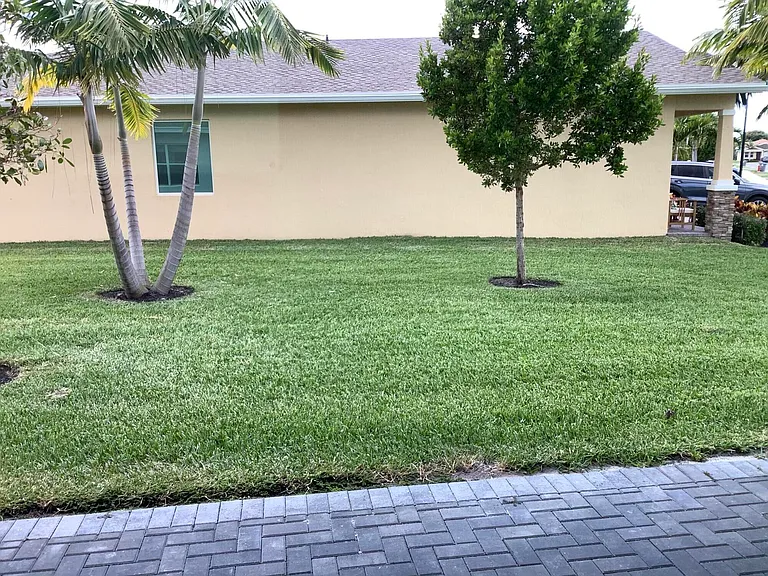 13431 Amber Waves Ave — Photo 20