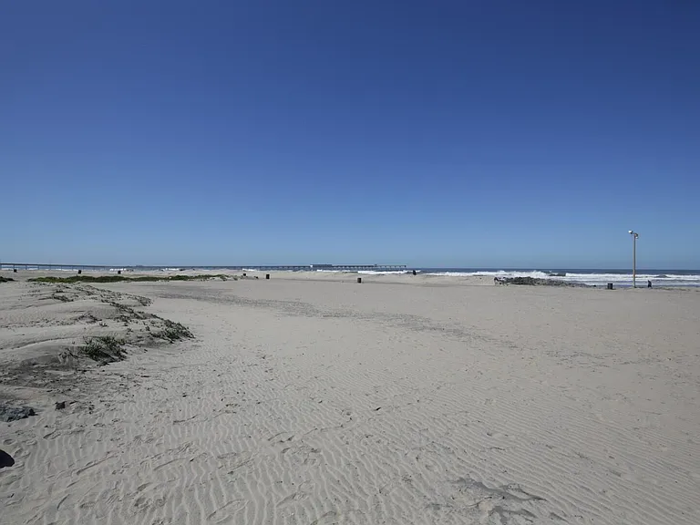 5015 Cape May Ave #207 — Photo 9