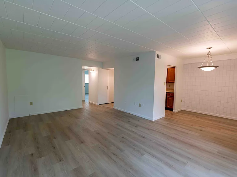 LVP Flooring in some units
