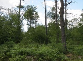 Rhododendron Road, Fitzwilliam, NH 03447