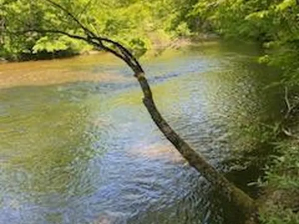 967 N Rivers Trl, White Cloud, MI 49349