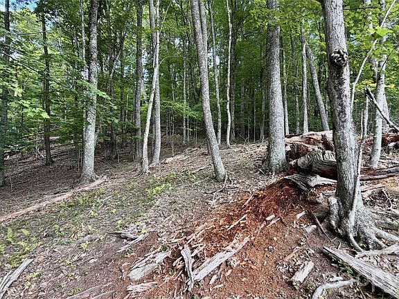 2nd image of 0 Fox Den Rd #109