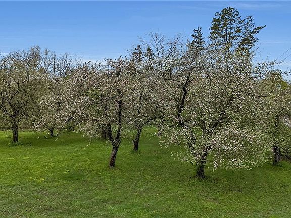 48th image of 12979 Bullis Rd