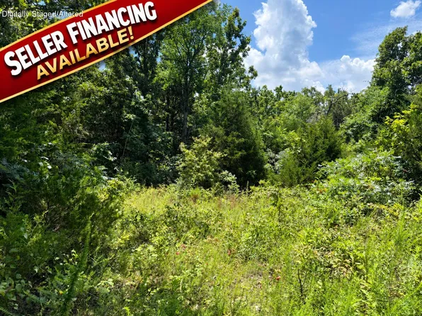 000 Ranch Road, Willow Springs, MO 65793