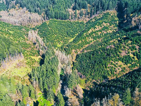 5th image of Marys Peak Rd #Tl501