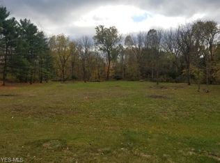 3236 Sharon Copley Rd LOT 1, Medina, OH 44256