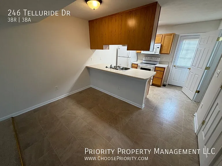 246 Telluride Dr — Photo 4