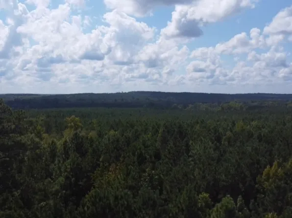 0 Brown Chapel Rd, Sparta, GA 31087