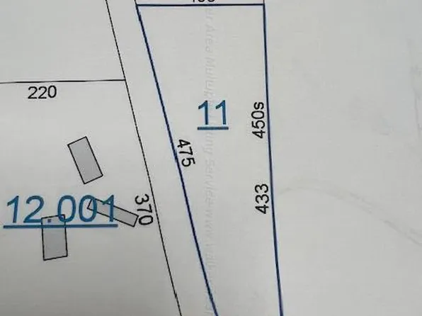 420 Little Dismal Rd, Arley, AL 35541