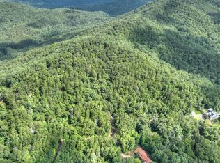 938 Rocky Mountain Cir, Cherry Log, GA 30522