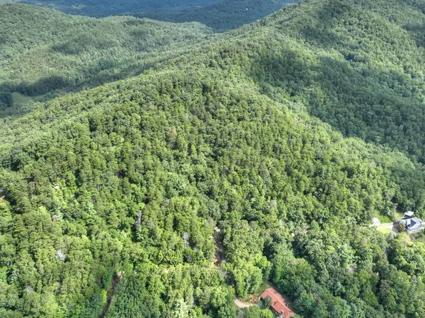 938 Rocky Mountain Cir, Cherry Log, GA 30522