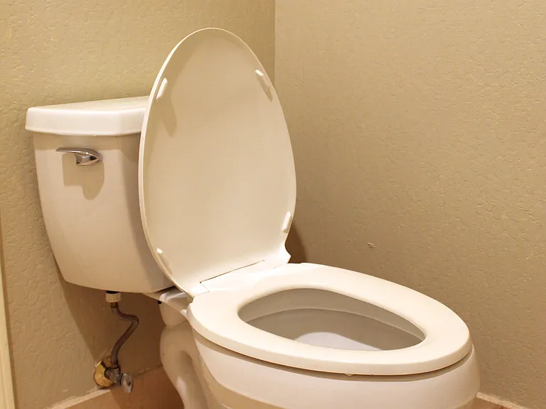 Master bath toilet