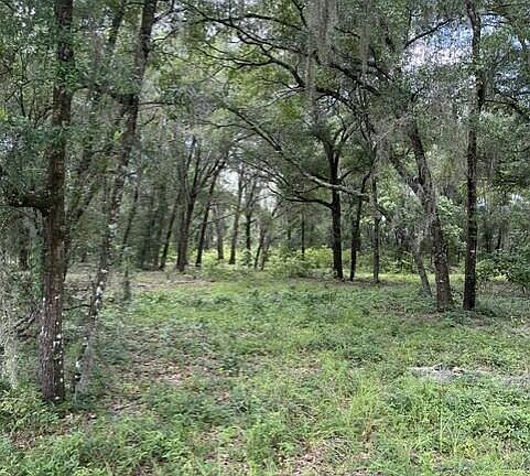 4th image of 607 COUSINTOWN RD Road