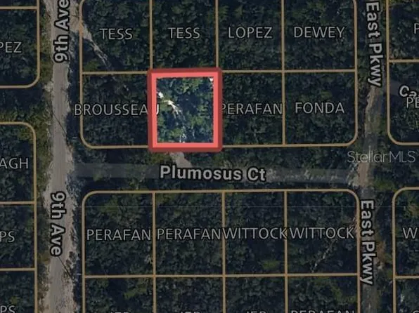 212 Plumosus Ct Lot 212, Deland, FL 32724