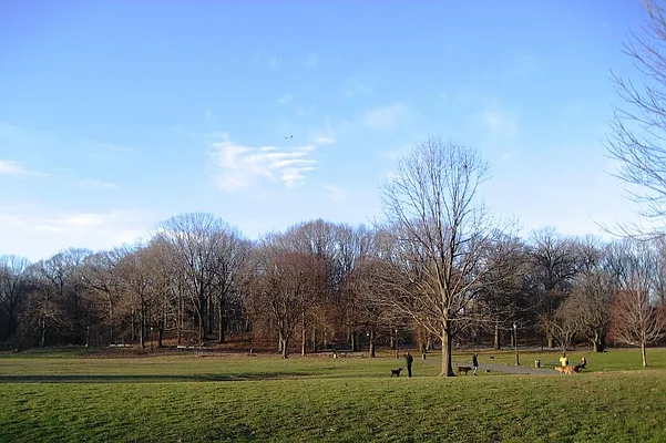 Sold by Corcoran | media 17