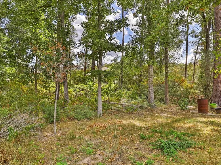 A NATURE AREA AWAITS YOUR KIDS JUST OUTSIDE THE BACK FENCE -- GO EXPLORE!