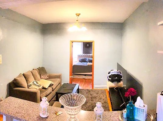 Rented by Rapid Realty Cobble Hill | media 68