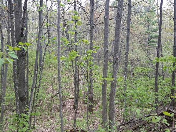 2nd image of ON BIG DOE RD
