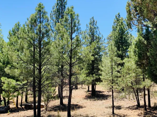 5117 Starlight Dr, Happy Jack, AZ 86024