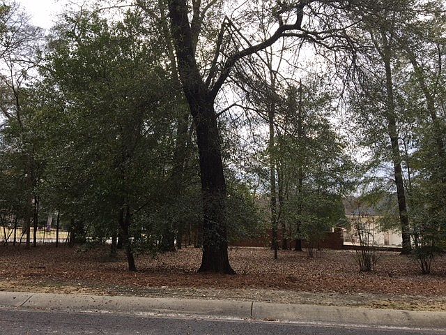 2nd image of 1919 Garrard St #1