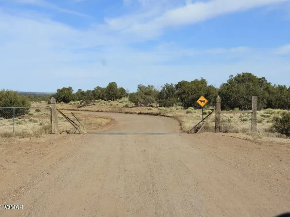0 Stanley Ln, Saint Johns, AZ 85936
