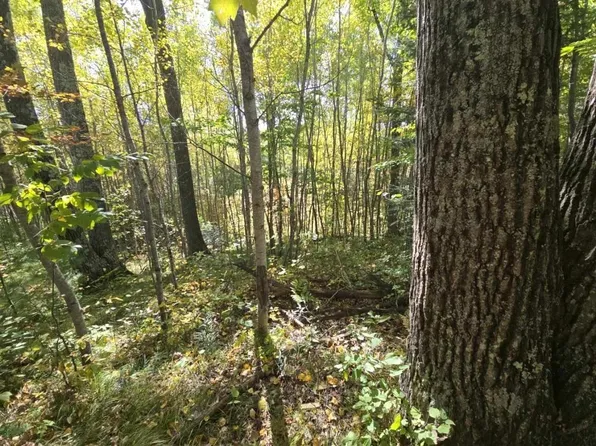 Near Long Lake Rd S, Rhinelander, WI 54501