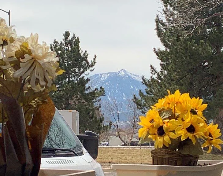 View from the balkony