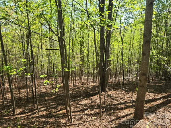 LOT 14 Back Hollow Dr, Lake Lure, NC 28746