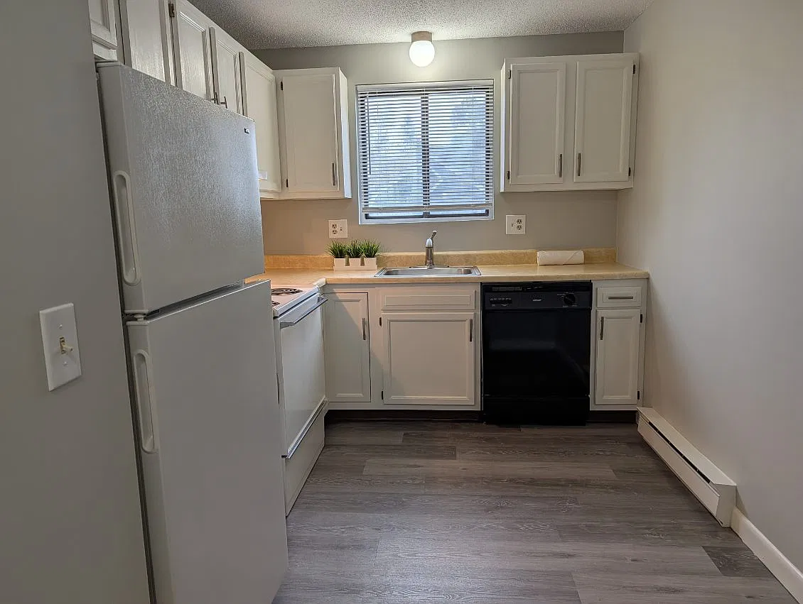 1 bed, $1,425 — Photo 3