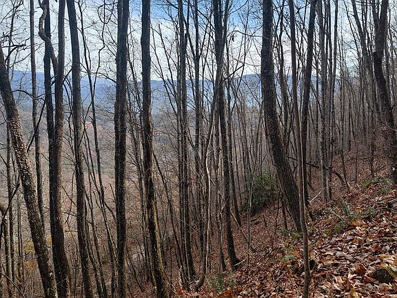 3rd image of 0 Lands Creek Rd