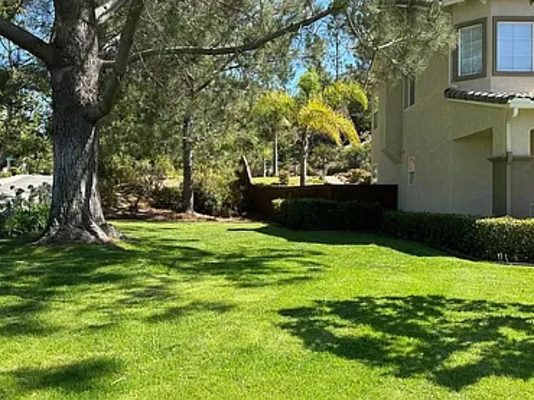 10853 Corte De Marin — Photo 2