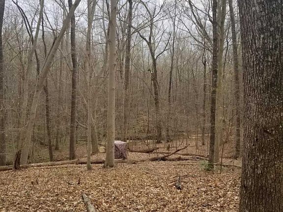 4th image of 8664 Kentucky Ave