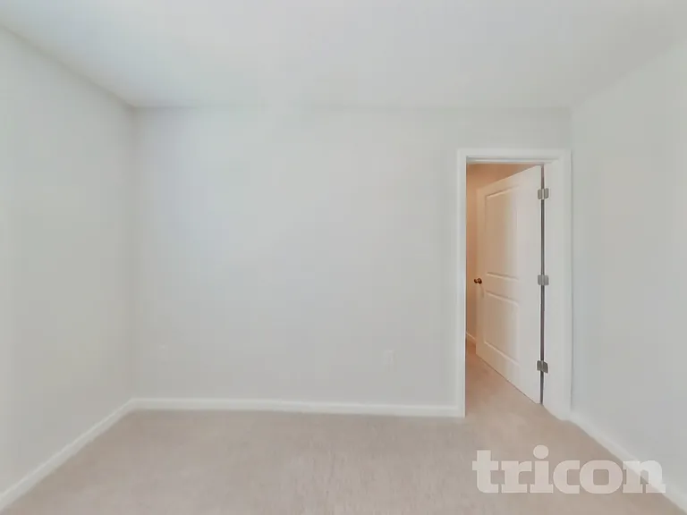 56 Brazil Nut Cir — Photo 14