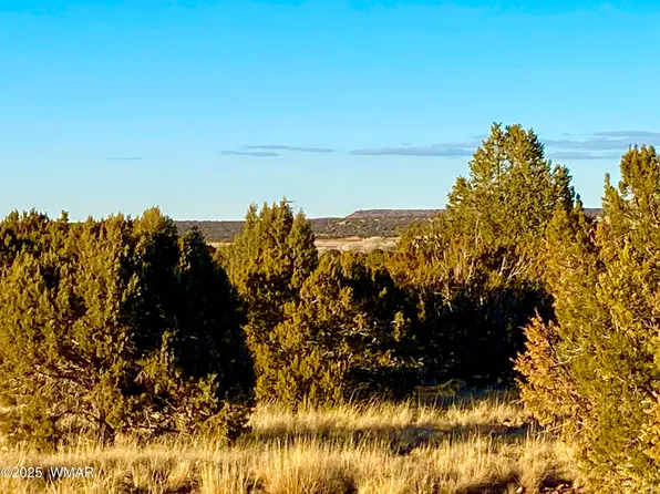 8418 Ridge Dr, Show Low, AZ 85901