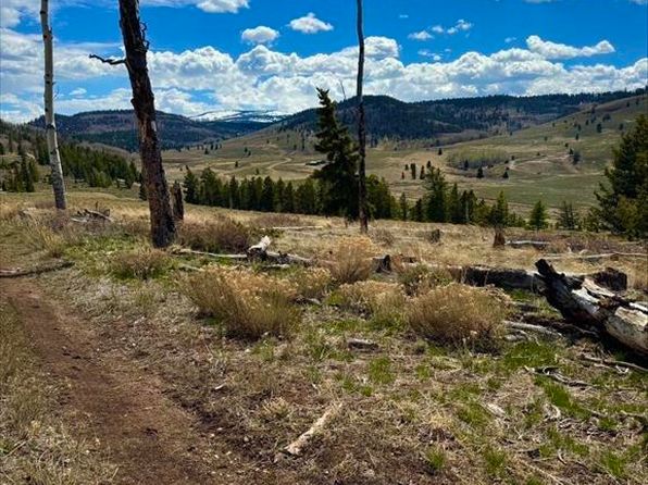 230 Castle Circle, Powderhorn, CO 81243