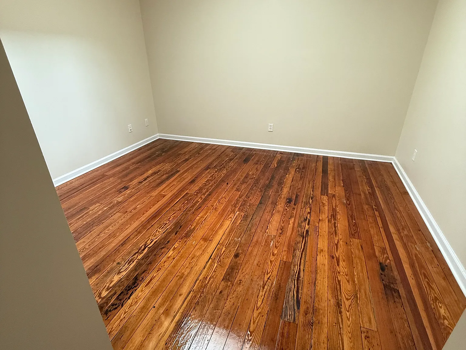 1 bed, 700 sqft, $750 — Photo 2