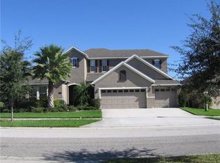 19208 Climbing Aster Dr, Tampa, FL 33647