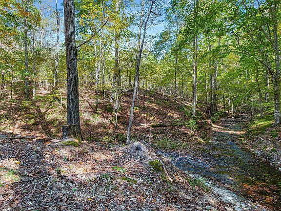 81st image of this home