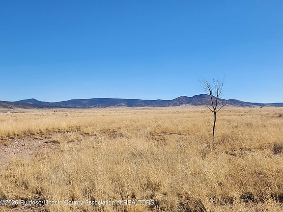 5th image of 133 & 135 Pino Rd