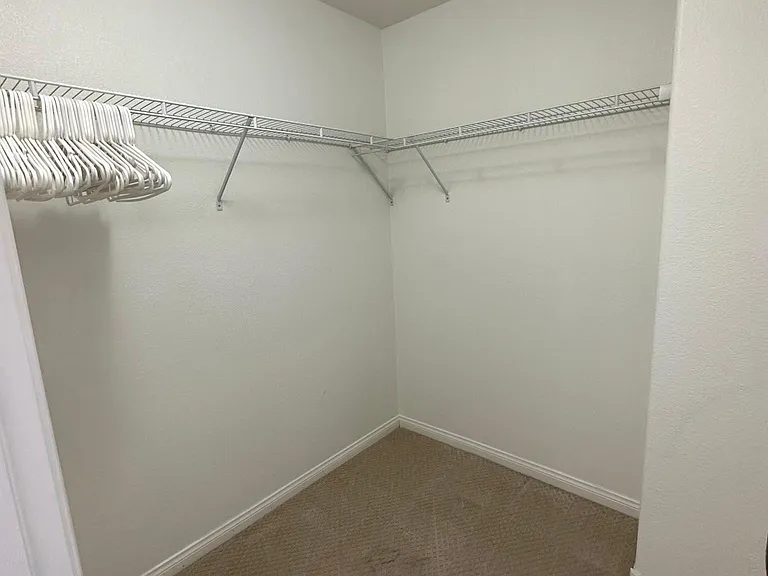 3916 Carla Ann Rd — Photo 5