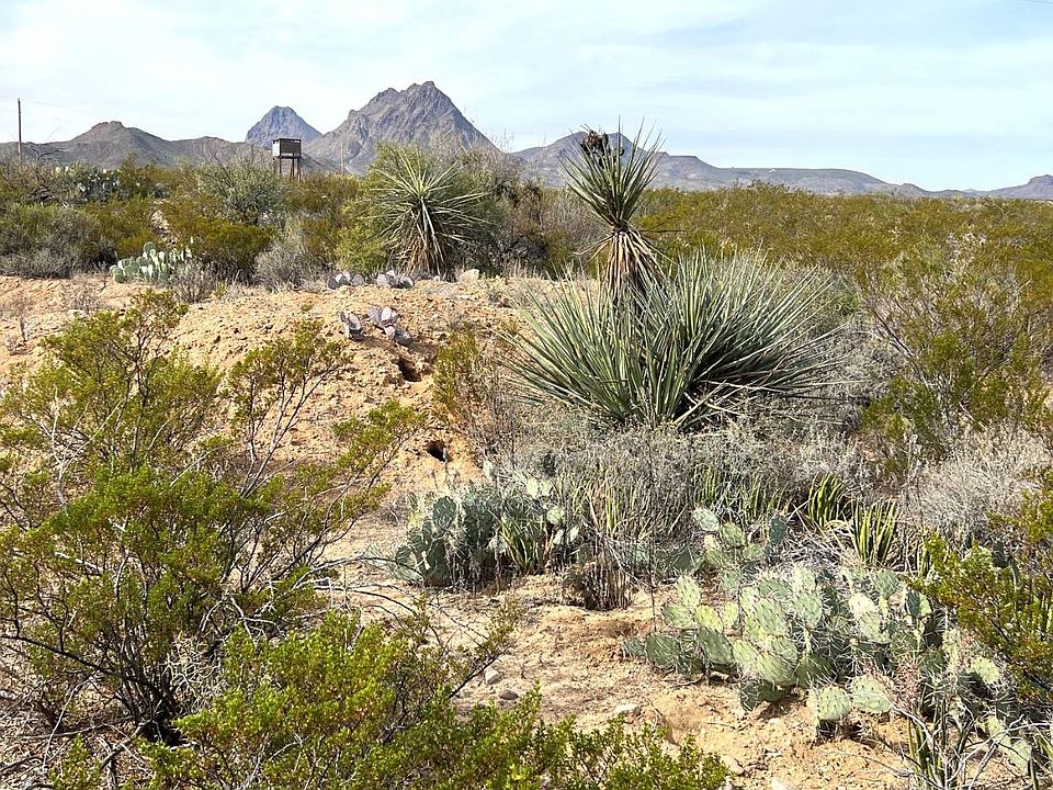 691 Sombereo Peak Rd Terlingua TX Zillow