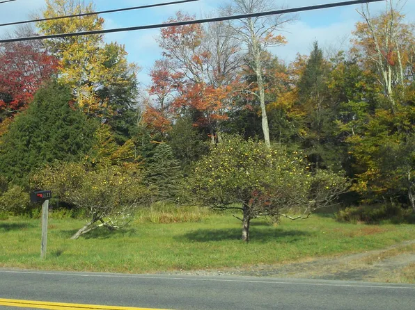 5941 State Route 55, Liberty, NY 12754