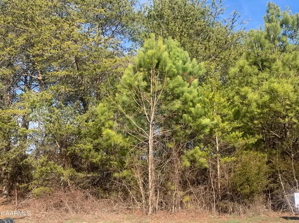 Raintree Ln, Kingston, TN 37763