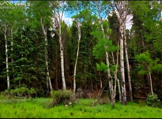 524 Spring Valley Ln, Florissant, CO 80816