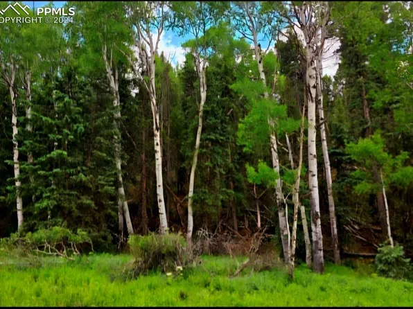 524 Spring Valley Ln, Florissant, CO 80816