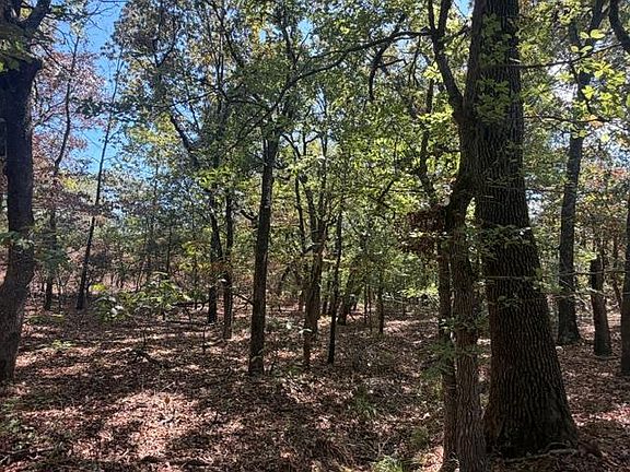 3rd image of 12593 S Crystal Cemetery Rd