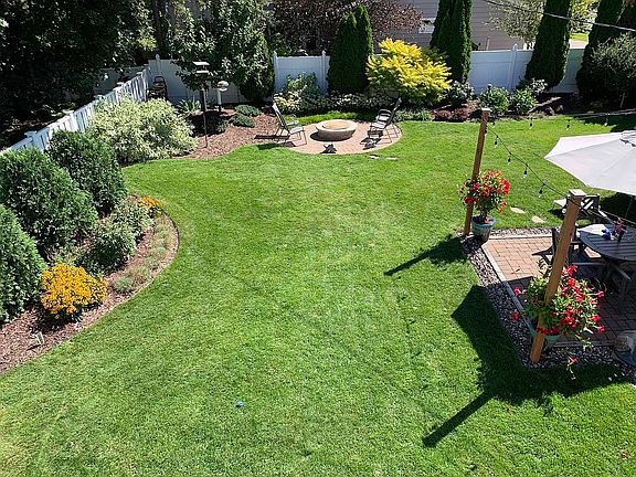 Back Yard. Full Sun.